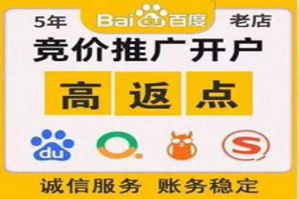 成功案例揭秘：sem账户托管的转化率奇迹